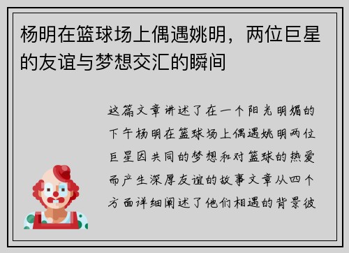 杨明在篮球场上偶遇姚明，两位巨星的友谊与梦想交汇的瞬间