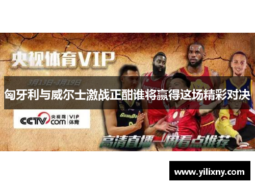匈牙利与威尔士激战正酣谁将赢得这场精彩对决